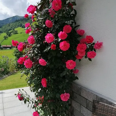 St. Christoph Проживание в семье