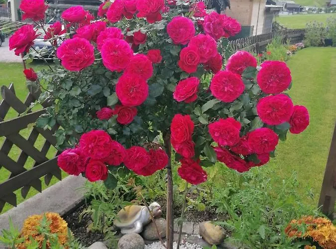 St. Christoph Kwatera prywatna *