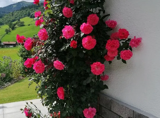 St. Christoph Accommodatie bij particulieren